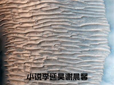 李延昊谢晨馨小说全文阅读-李延昊谢晨馨小说全文完整版免费阅读