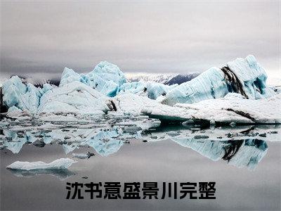 沈书意盛景川（沈书意盛景川）全文免费阅读无弹窗大结局_沈书意盛景川全文免费阅读_笔趣阁