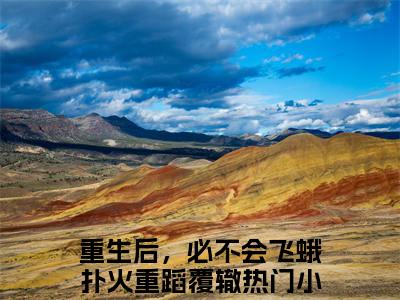 重生后，必不会飞蛾扑火重蹈覆辙（沈御京叶乐妍小说）全文免费阅读无弹窗大结局_（沈御京叶乐妍）小说最新章节列表