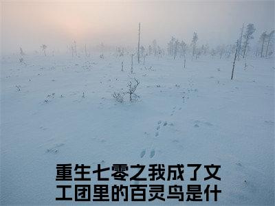（结局）+（免费）魏元洲张清是哪部小说的主角，重生七零之我成了文工团里的百灵鸟全文在线赏析
