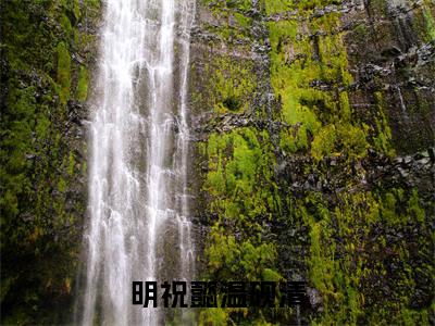明祝懿温砚清最新章节（明祝懿温砚清免费在线阅读）全文免费阅读无弹窗大结局_明祝懿温砚清免费在线阅读免费阅读（明祝懿温砚清）