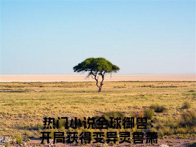 全球御兽：开局获得变异灵兽萧云言情小说免费观看-小说(全球御兽：开局获得变异灵兽萧云)最新章节阅读