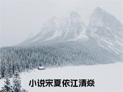 宋夏依江清焱小说全文免费阅读无弹窗_（宋夏依江清焱完结）宋夏依江清焱小说免费阅读无弹窗最新章节列表_笔趣阁