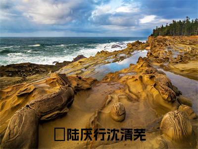 抖音新书热荐陆厌行沈清芜-小说全文完整版免费阅读