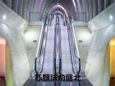 苏颜沫俞庭北小说最新章节免费阅读-苏颜沫俞庭北全文赏析完整版
