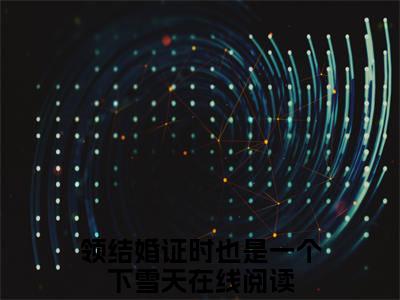 领结婚证时也是一个下雪天（林之意盛南琛）全文免费阅读无弹窗大结局_（领结婚证时也是一个下雪天免费阅读）林之意盛南琛无弹窗最新章节列表