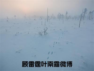顾雷霆叶南霜小说（顾雷霆叶南霜）最新章节阅读-最新热点小说顾雷霆叶南霜