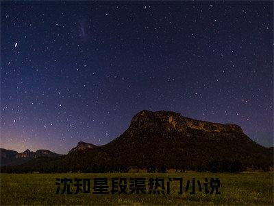 沈知星段渠（沈知星段渠）全文免费阅读大结局-沈知星段渠最新章节免费阅读大结局
