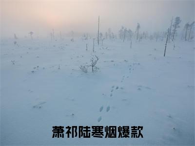 萧祁陆寒烟(萧祁陆寒烟）小说全文免费阅读无弹窗大结局_萧祁陆寒烟全文免费阅读