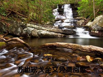 苏也宋戈在线阅读全文 (苏也宋戈免费大结局)小说无弹窗广告