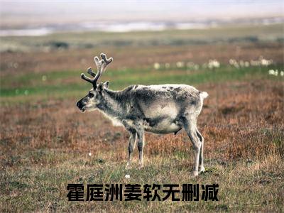 霍庭洲姜软（霍庭洲姜软）全文免费阅读无弹窗大结局_霍庭洲姜软最新章节列表_笔趣阁