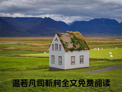 温若凡司靳柯(温若凡司靳柯)全文在线阅读无弹窗大结局_温若凡司靳柯全文无弹窗最新章节列表_笔趣阁