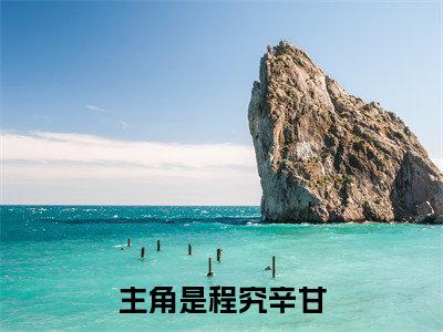 程究辛甘近期热推小说-程究辛甘小说精彩阅读