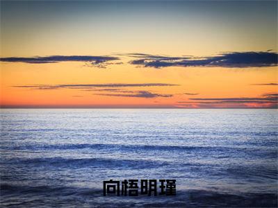向梧明瑾（向梧明瑾）全网首发小说-小说向梧明瑾完整版全文在线赏析