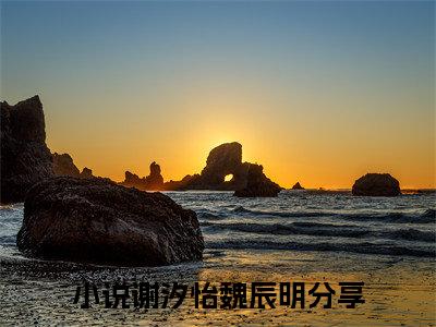 谢汐怡魏辰明小说哪里能看-(谢汐怡魏辰明)最新章节在线阅读