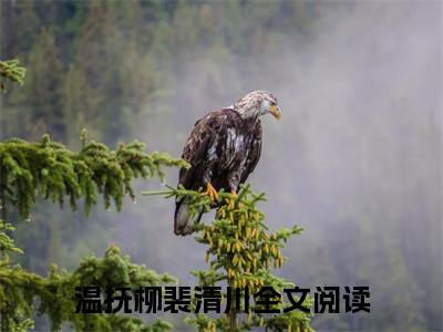 温抚柳裴清川全文免费阅读无弹窗大结局_(温抚柳裴清川免费阅读)温抚柳裴清川最新章节列表_笔趣阁