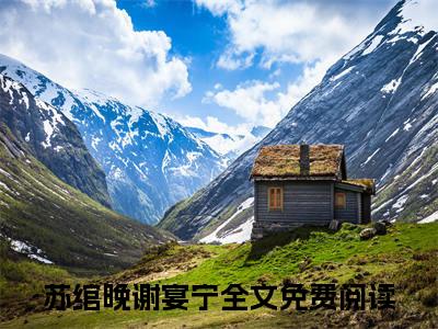 苏绾晚谢宴宁（苏绾晚谢宴宁)全文免费阅读无弹窗大结局_苏绾晚谢宴宁最新章节列表_笔趣阁