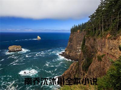 南乔沈沐川（南乔沈沐川）全文免费阅读无弹窗大结局_南乔沈沐川免费最新章节列表_笔趣阁