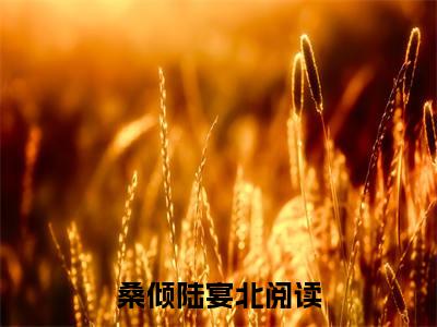 桑倾陆宴北（桑倾陆宴北）全文免费阅读无弹窗完整版_ (桑倾陆宴北免费阅读全文)最新章节列表_笔趣阁（桑倾陆宴北）