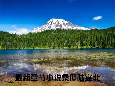 全章节完整《桑倾陆宴北》全文阅读《桑倾陆宴北》