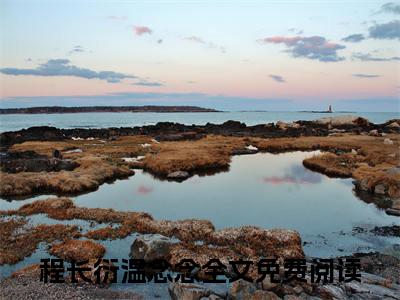 程长衍温念念（程长衍温念念小说）全文免费阅读无弹窗大结局_（程长衍温念念）程长衍温念念最新章节列表笔趣阁（程长衍温念念）