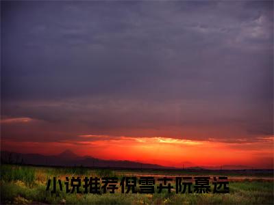 倪雪卉阮慕远（倪雪卉阮慕远）全文阅读完整版_倪雪卉阮慕远小说免费阅读大结局（倪雪卉阮慕远）