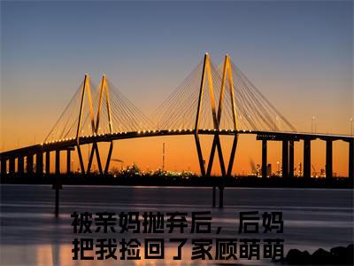 被亲妈抛弃后，后妈把我捡回了家顾萌萌小说全文免费阅读 被亲妈抛弃后，后妈把我捡回了家顾萌萌最新章节