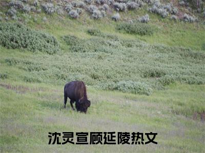 小说(沈灵宣顾延陵)全文免费阅读_(沈灵宣顾延陵)小说全文免费阅读