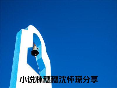 林穗穗沈怀琛（林穗穗沈怀琛）全文免费阅读无弹窗_林穗穗沈怀琛小说_笔趣阁