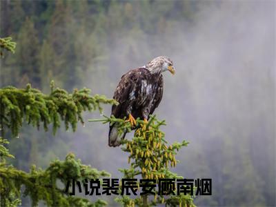 裴辰安顾南烟精选小说-裴辰安顾南烟全章节(裴辰安顾南烟)完整小说