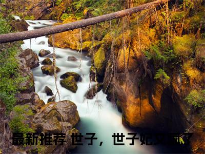 商绾泞夙砚珏在线阅读（世子，世子妃又疯了小说）全文免费阅读无弹窗大结局_商绾泞夙砚珏免费最新章节列表