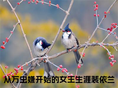 从万虫嫌开始的女王生涯裴依兰小说全文免费阅读 -从万虫嫌开始的女王生涯裴依兰在线完整版