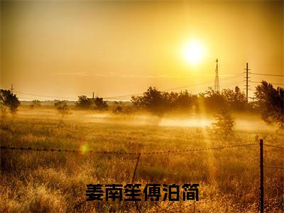 姜南笙傅泊简笔趣阁免费小说_姜南笙傅泊简笔趣阁全文阅读
