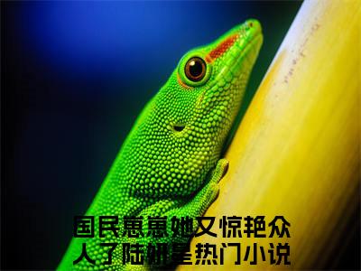 国民崽崽她又惊艳众人了陆妍星热门小说全文免费阅读无弹窗大结局-国民崽崽她又惊艳众人了陆妍星全文无弹窗免费阅读大结局
