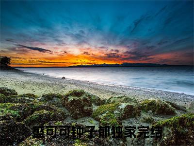 盛可可钟子郁小说（盛可可钟子郁）全文免费阅读无弹窗_（盛可可钟子郁）盛可可钟子郁最新章节列表