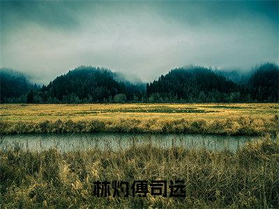 我豪门真千金，靠玄学富上加富小说林灼傅司远完整版全文在线赏析-小说我豪门真千金，靠玄学富上加富全文大结局已完结