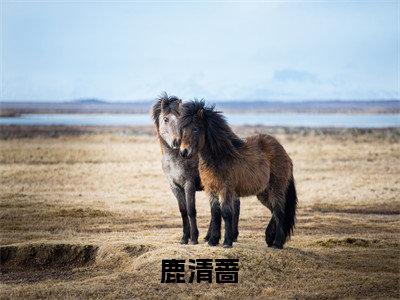 鹿清蔷（啥？我开的孤儿院火遍全国了）全文免费阅读无弹窗大结局_鹿清蔷全文免费阅读