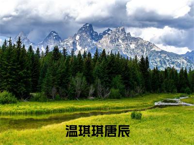 温琪琪唐辰小说（温琪琪唐辰）全文免费阅读无弹窗大结局_(温琪琪唐辰免费阅读)最新章节列表_笔趣阁（温琪琪唐辰）