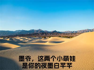 夜墨白芊芊（墨爷，这两个小萌娃是你的）全文免费阅读-(墨爷，这两个小萌娃是你的小说)夜墨白芊芊最新章节列表