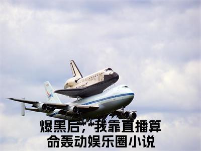 爆黑后，我靠直播算命轰动娱乐圈小说-沈渊白姒最新章节全文阅读