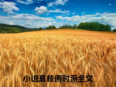 夏枝傅时深(夏枝傅时深)全文免费阅读无弹窗大结局_(夏枝傅时深)小说免费阅读无弹窗最新章节列表_笔趣阁