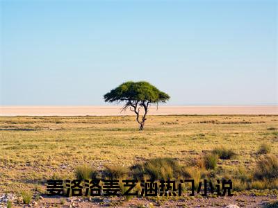 穿成修仙炮灰，机缘全靠抢女主精选热门小说姜洛洛姜艺涵已完结全集大结局