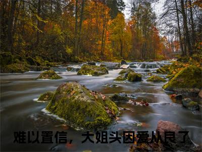林清雾陆延生小说（难以置信，大姐头因爱从良了）热推新书_林清雾陆延生最新章节在线阅读_笔趣阁