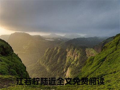 江若柠陆近小说免费阅读无弹窗大结局-江若柠陆近（江若柠陆近）小说全文阅读