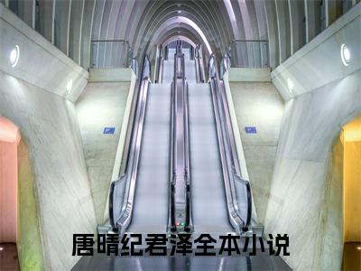 唐晴纪君泽免费阅读无弹窗大结局-唐晴纪君泽最新全章节全文阅读免费阅读-笔趣阁