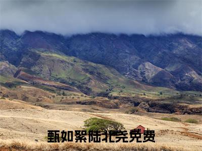 甄如絮陆北尧（甄如絮陆北尧）全文免费阅读无弹窗大结局甄如絮陆北尧