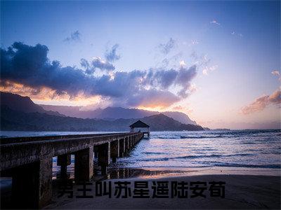 苏星遥陆安荀免费阅读无弹窗，苏星遥陆安荀小说大结局全文免费阅读