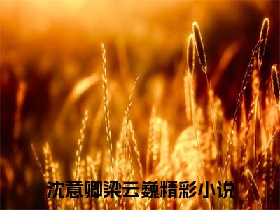 沈意卿梁云巍小说(沈意卿梁云巍)全文免费阅读_沈意卿梁云巍（沈意卿梁云巍）最新章节完整版免费阅读（沈意卿梁云巍）