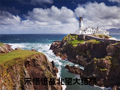 宋惜惜战北望小说全文免费阅读将门弃妇又震慑边关了六月免费完整版阅读