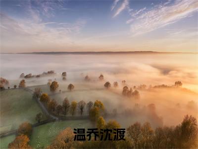 温乔沈渡（温乔沈渡）全文在线阅读无弹窗大结局_（温乔沈渡全文在线阅读无弹窗）温乔沈渡最新章节列表_笔趣阁（温乔沈渡）